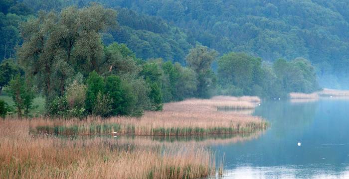 Wohlensee