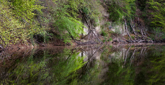 Weiher © Matthias Sorg