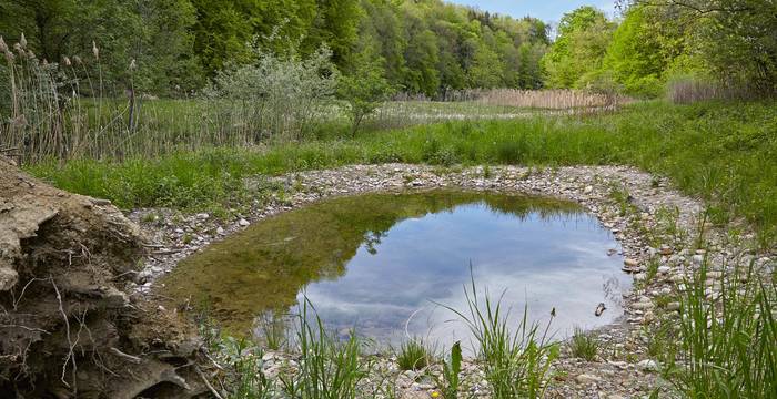 Weiher ©Jan Ryser