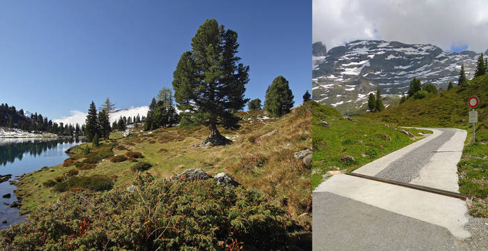 Naturschutzgebiet Engstlenalp: Idylle hier, unbewilligte Betonspuren da. Foto: J. Ryser/ M. Schnidrig