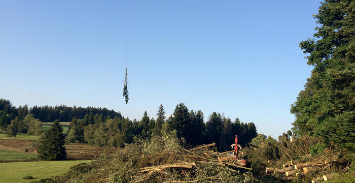 Die gefällten Bäume werden aus der Luft abtransportiert, um den empfindlichen Torfboden nicht irreparabel zu beschädigen.