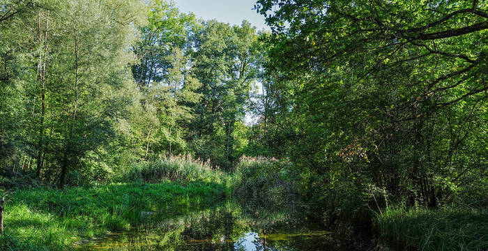 Natur pur autour du centre Eichholz