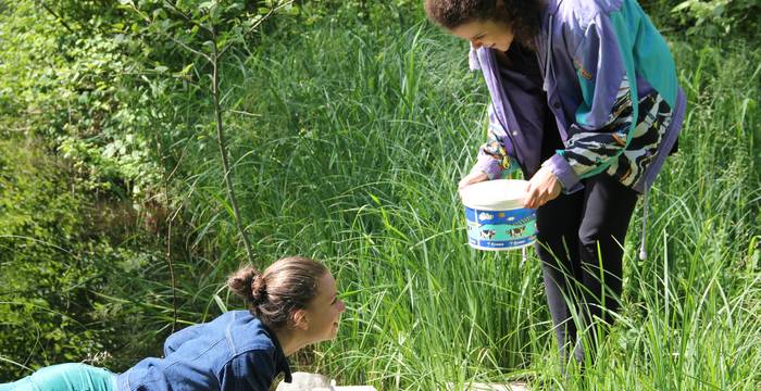 Mit Spass die Natur entdecken