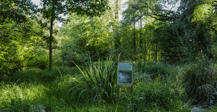 Blick in die Natur