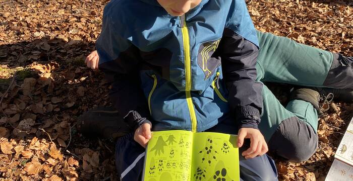 Spurensuche im Wald