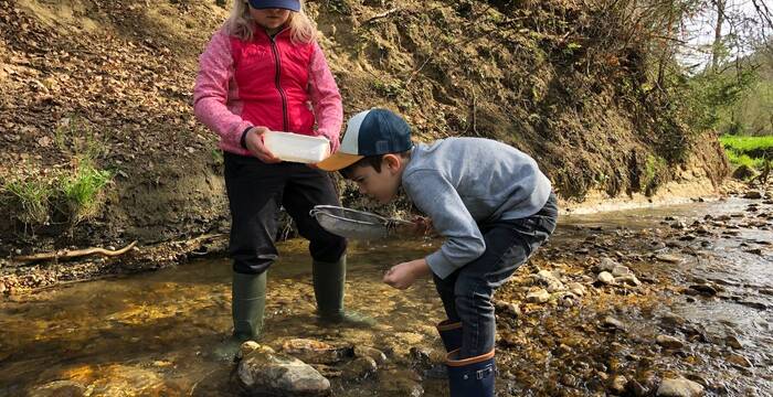 Kinder erforschen den Bach
