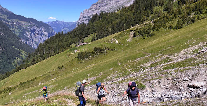 Alpine Landschaft