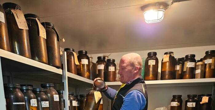 Kühlkammer zur Samenaufbewahrung im Forstgarten Lobsigen