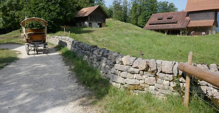 Vielfältige Landschaft auf dem Ballenberg