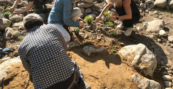 Arbeitseinsatz Wildbienen