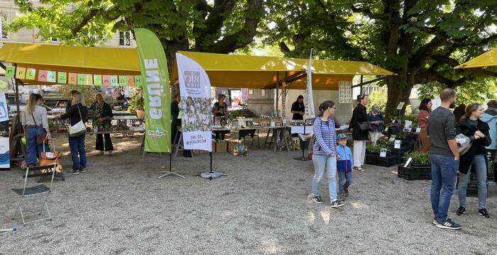 Wildpflanzenmarkt