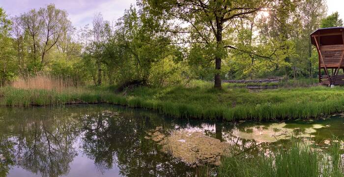 Panoramablick Pro Natura Zentrum Eichholz