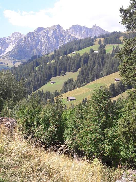 Alp Lauenenweidli oberhalb von St. Stephan