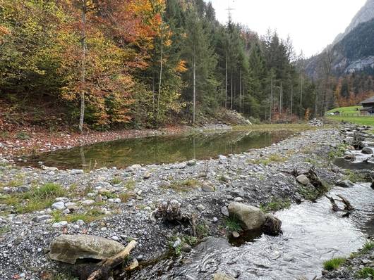 Der hintere Amphibienteich neben dem umgelegten Fürtbächli.