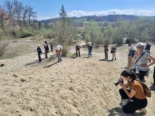 Wildbienenexkursion Rehhag