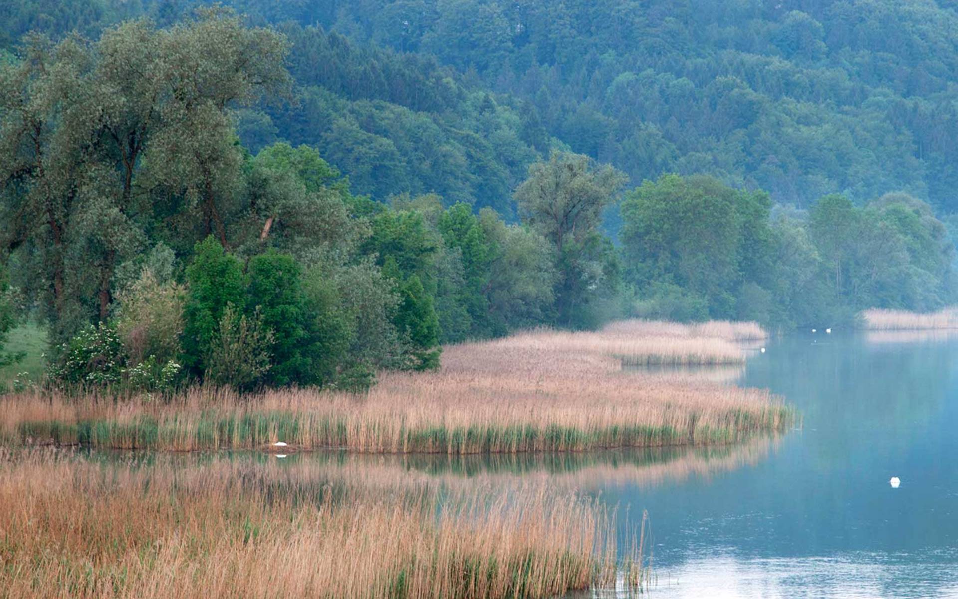 Wohlensee © Matthias Sorg
