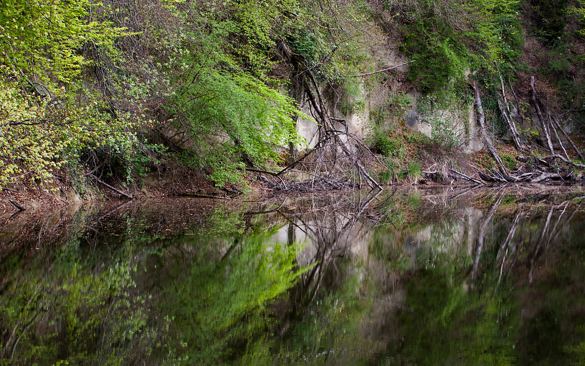 Weiher © Matthias Sorg