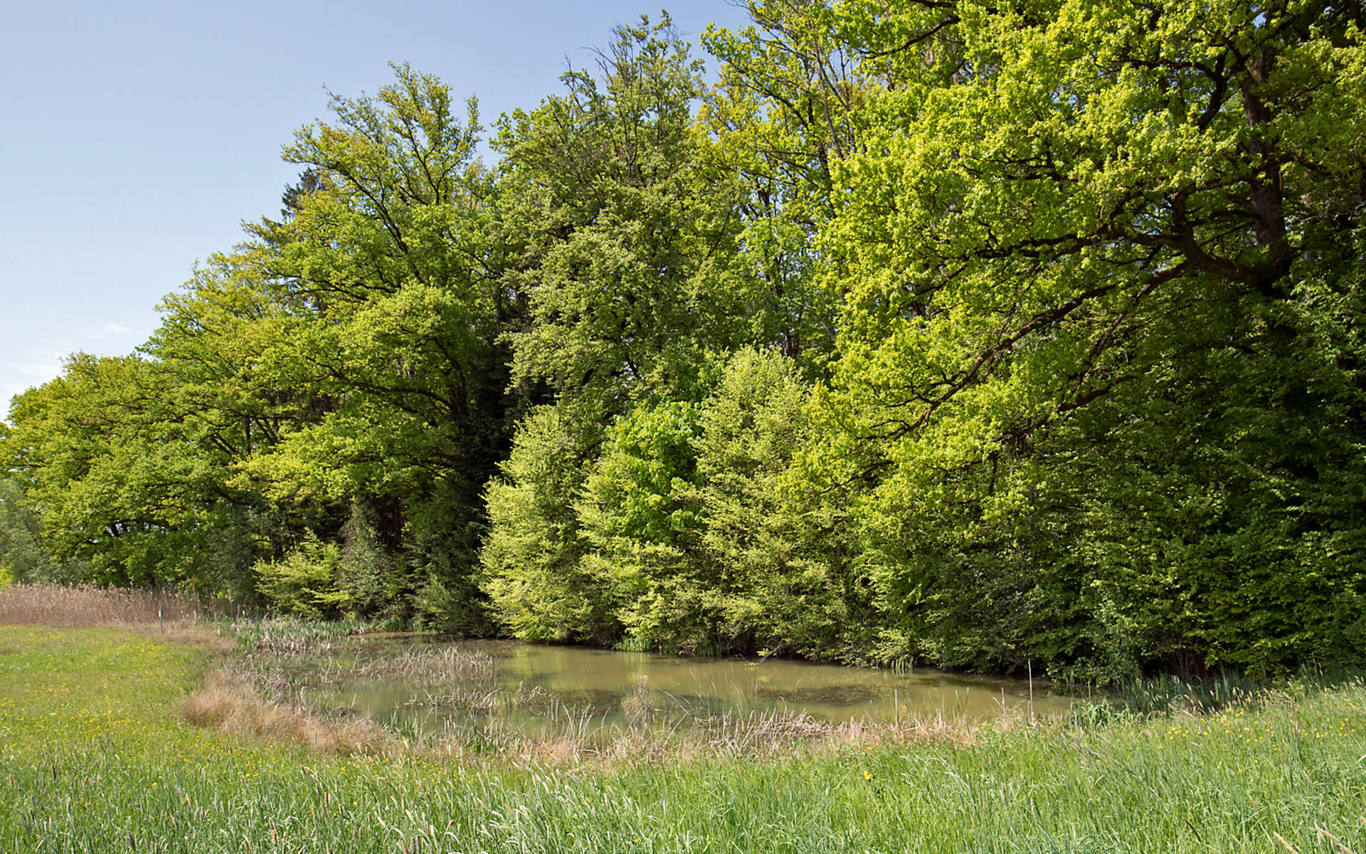 Laupenau © Matthias Sorg