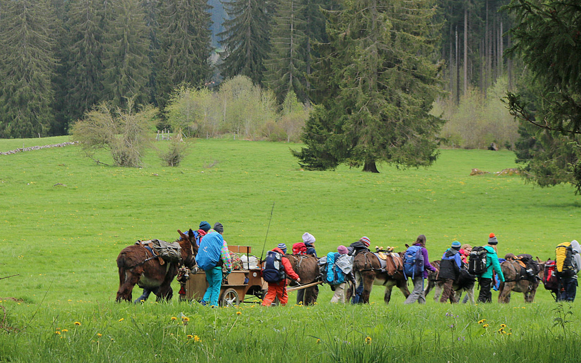 Jeunes+Nature – Agir pour la nature © LinusEhi