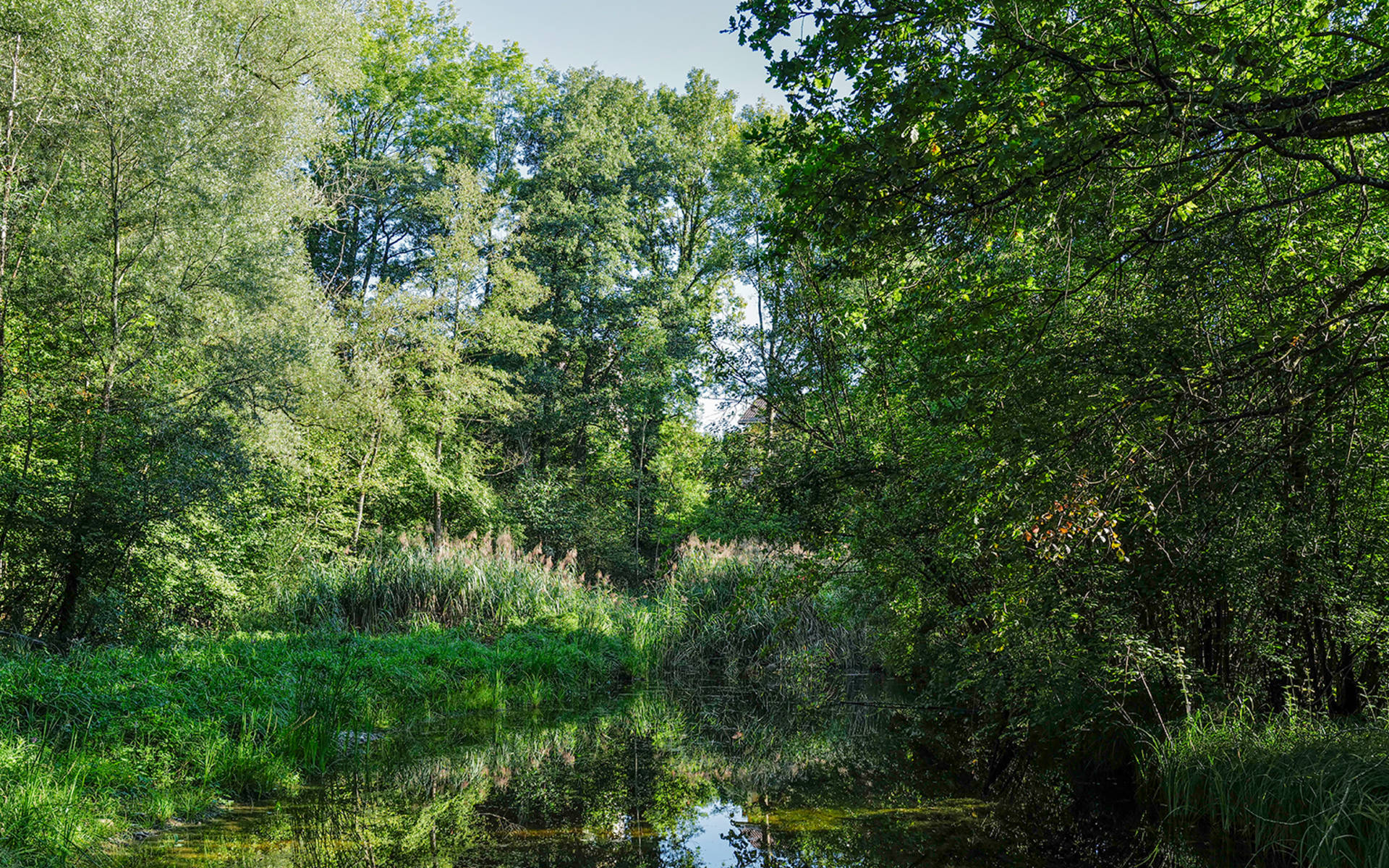 Natur rund um das Pro Natura Zentrum Eichholz © Matthias Sorg