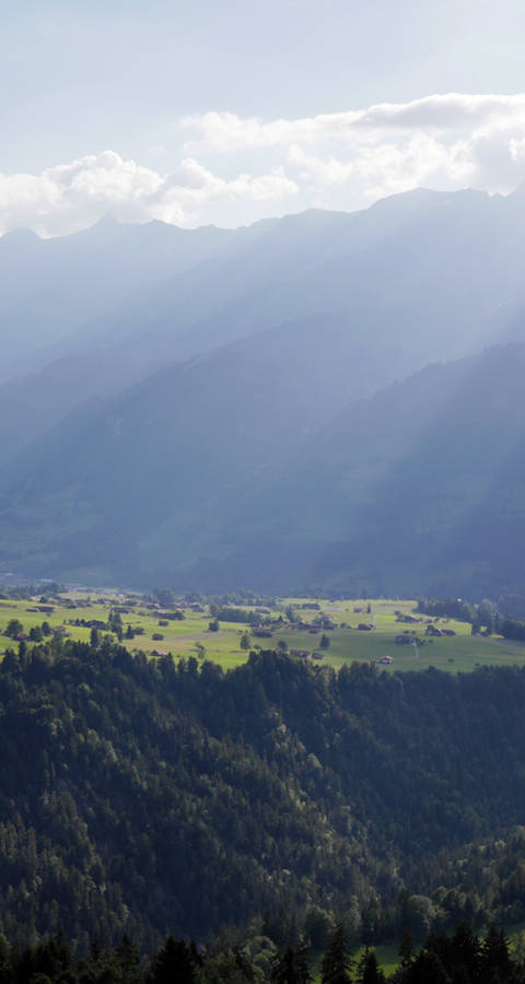 Niesen