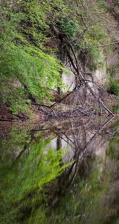 Weiher