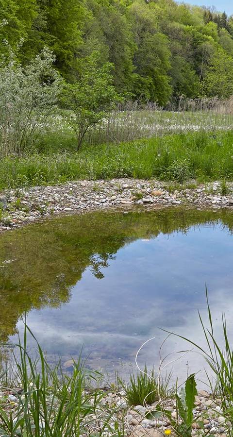 Weiher