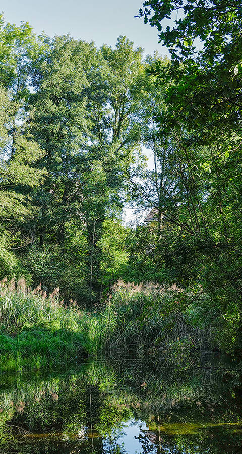 Natur rund um das Pro Natura Zentrum Eichholz
