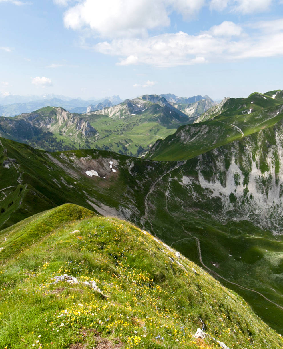 Blick vom Gantrisch