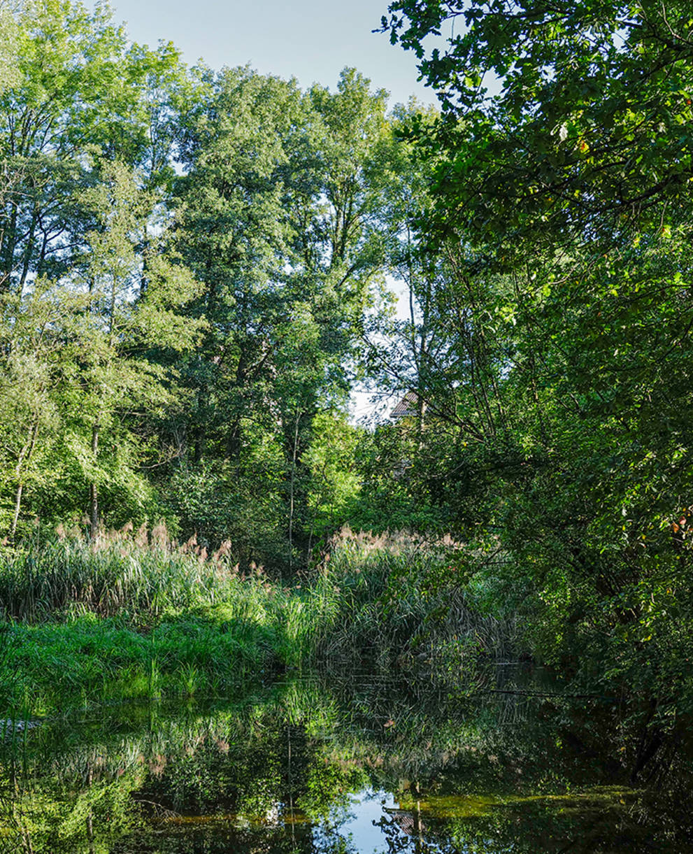 Natur rund um das Pro Natura Zentrum Eichholz