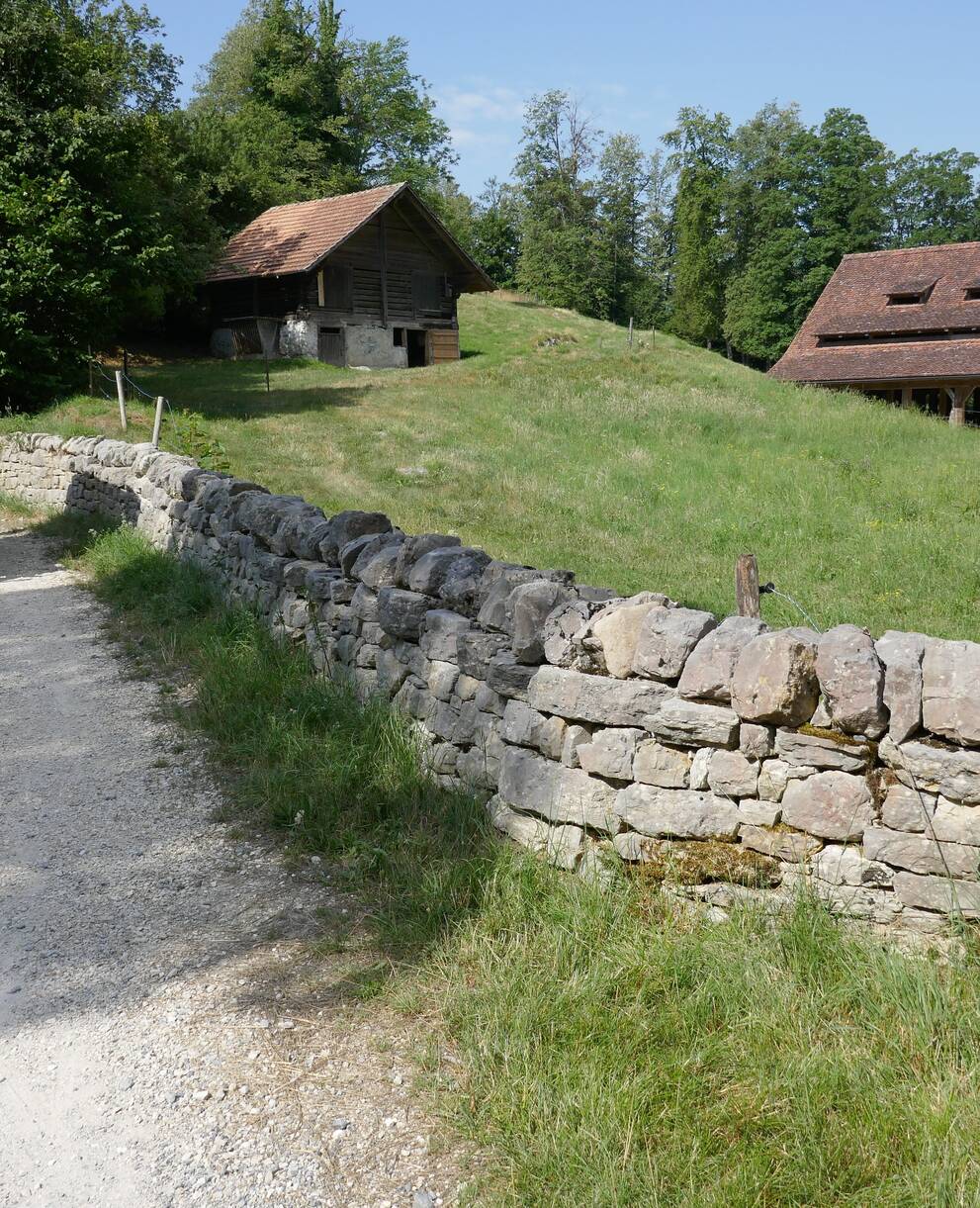 Vielfältige Landschaft auf dem Ballenberg
