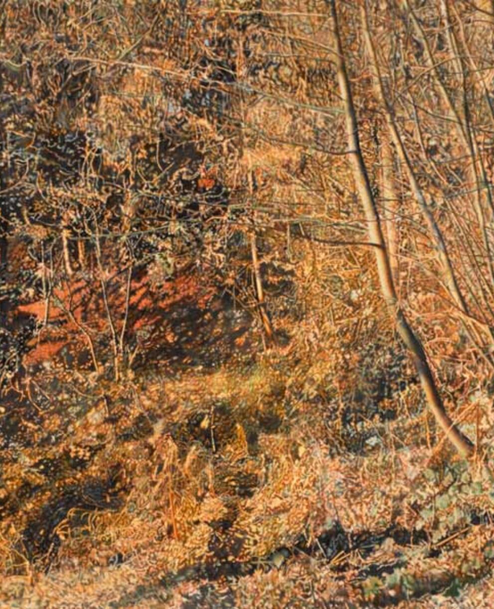 Die vier Jahreszeiten Herbst