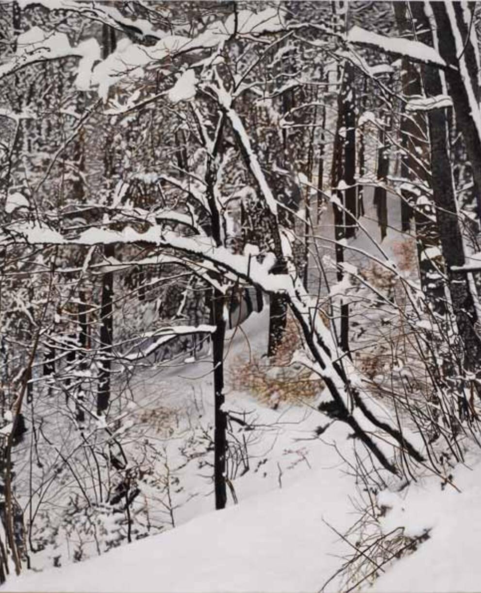 Die vier Jahreszeiten Winter