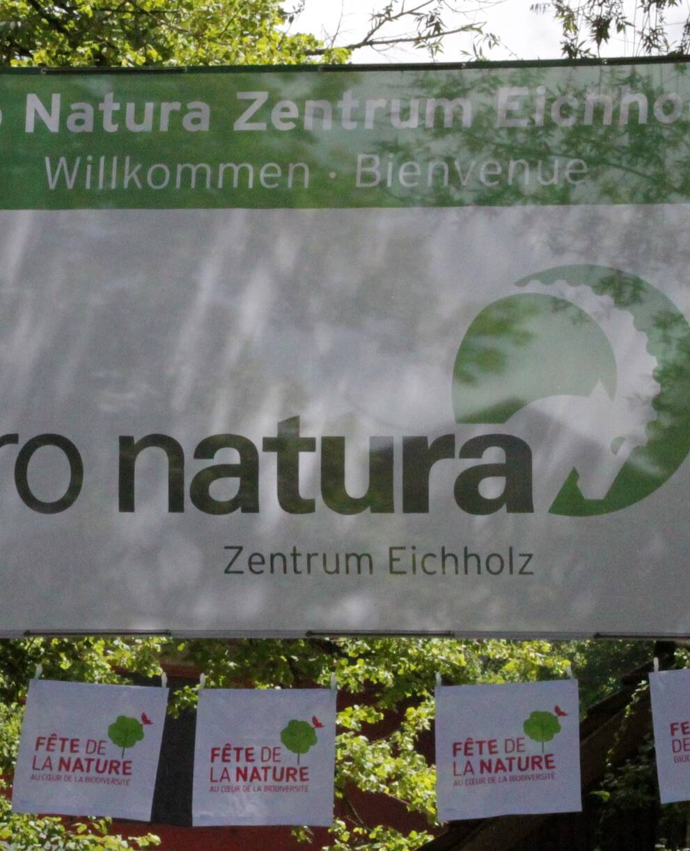 Festival der Natur Eichholz