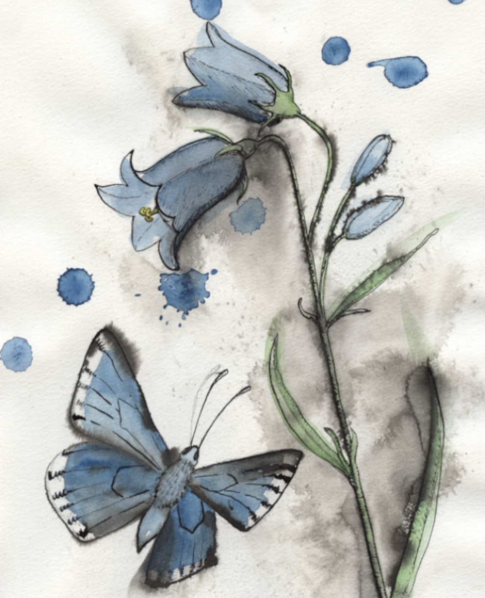 cr_KlangundFLora