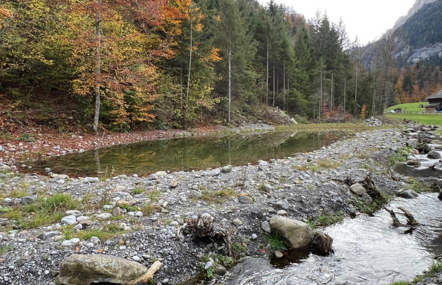 Der hintere Amphibienteich neben dem umgelegten Fürtbächli.
