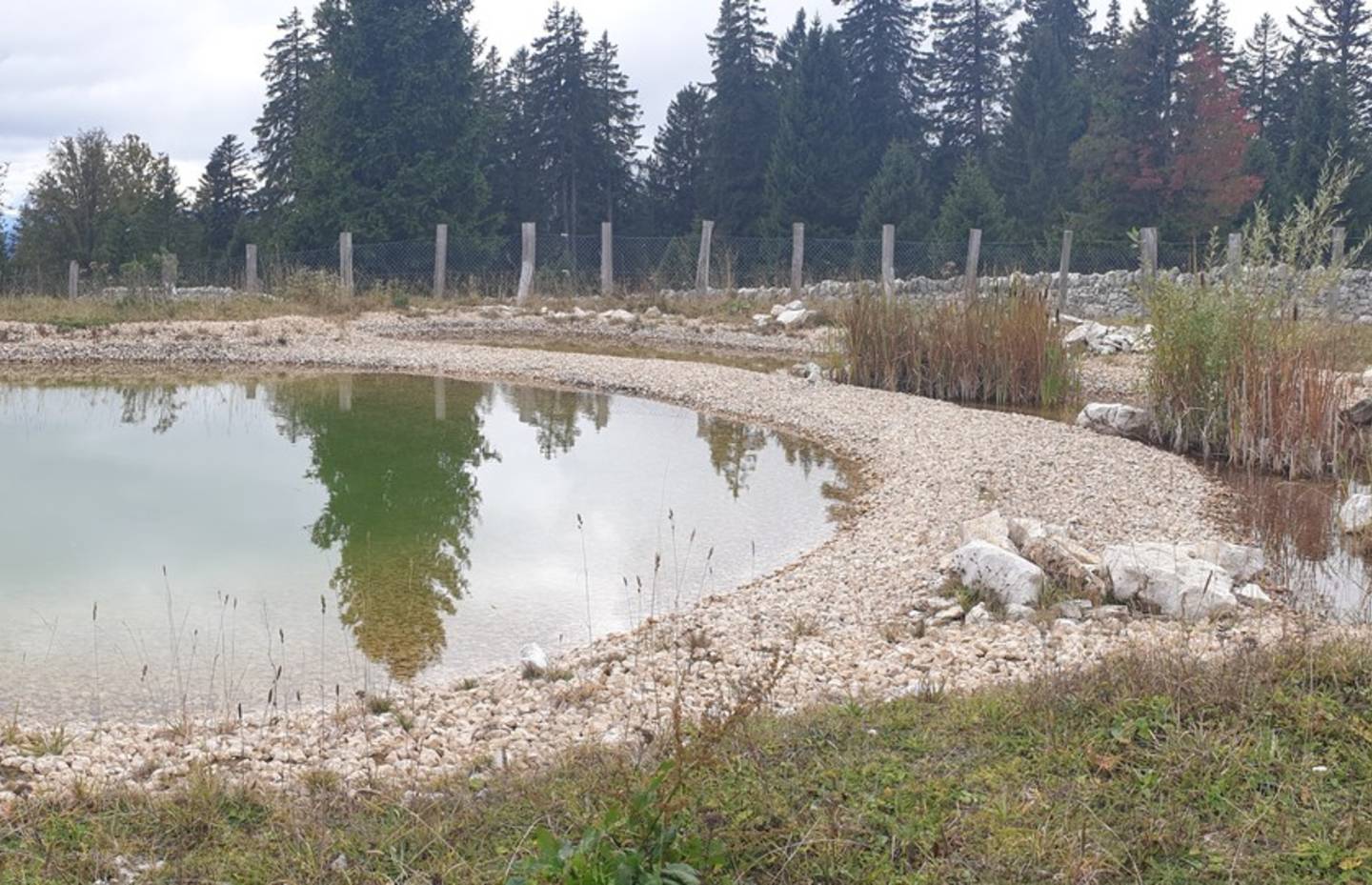 Exemple d’un étang agroécologique