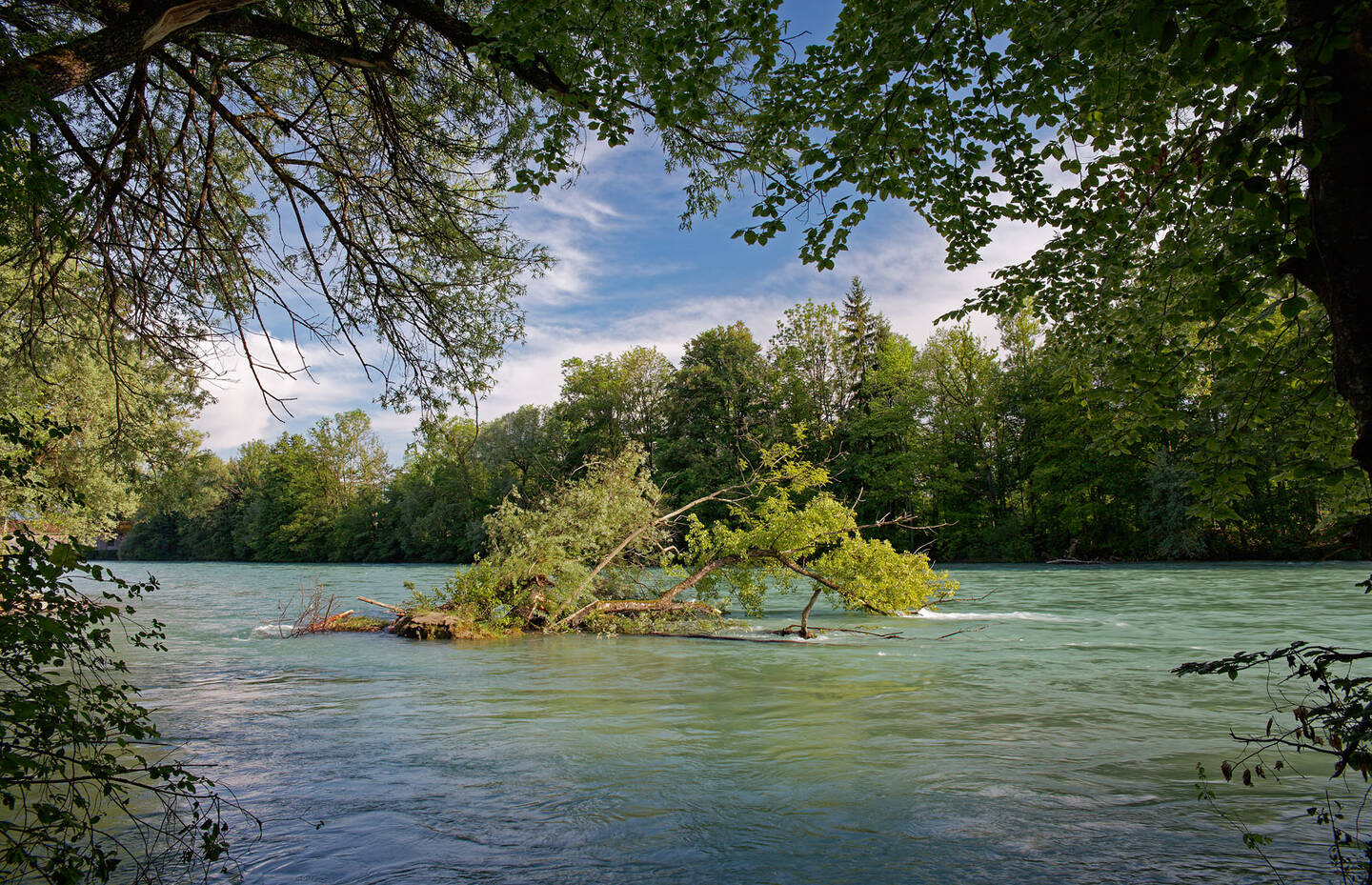 Aare in Muri bei Bern