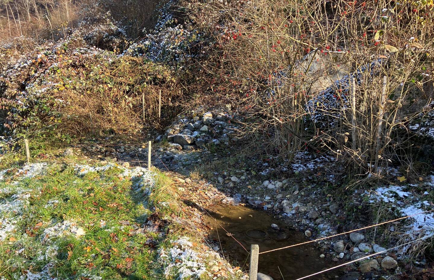 Marfeldingen
