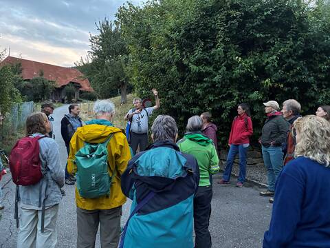 Fledermaus Exkursion Gruppe