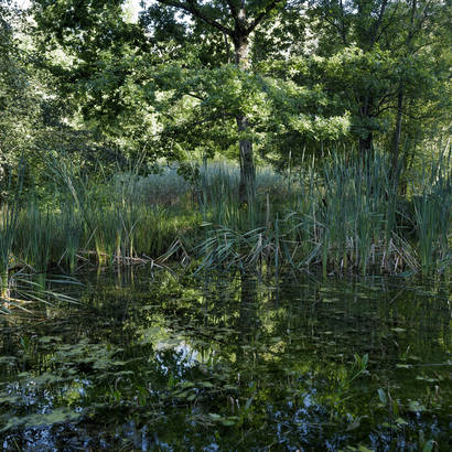 Naturzentrum Eichholz